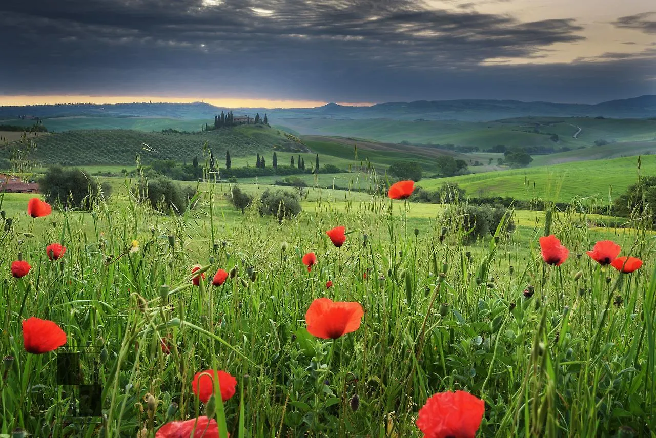 La Bellavita B&B Pienza Italy